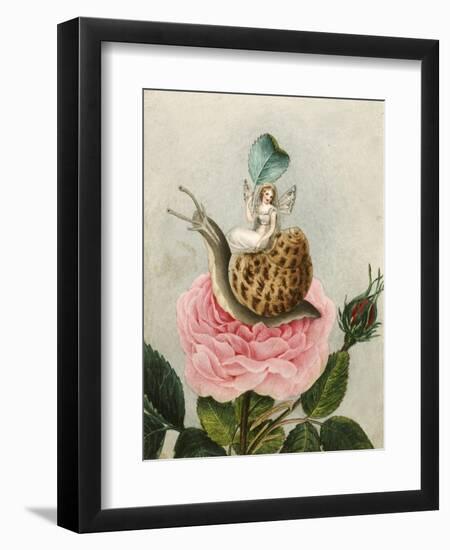 A Fairy Holding a Leaf, Sitting on a Snail Above a Rose-Amelia Jane Murray-Framed Giclee Print