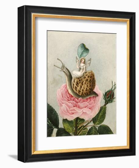 A Fairy Holding a Leaf, Sitting on a Snail Above a Rose-Amelia Jane Murray-Framed Giclee Print