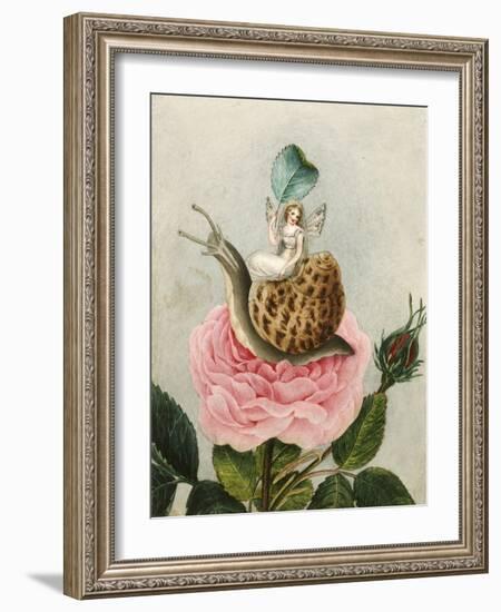 A Fairy Holding a Leaf, Sitting on a Snail Above a Rose-Amelia Jane Murray-Framed Giclee Print