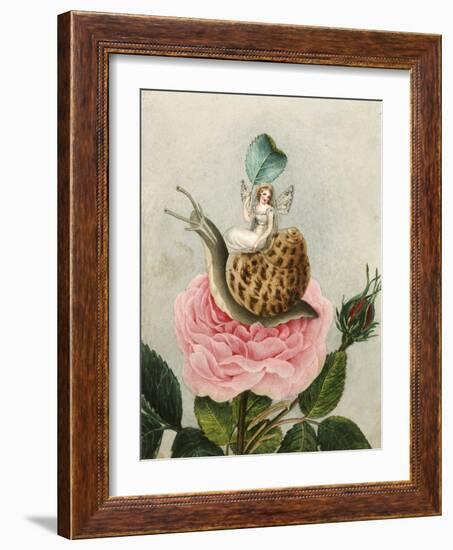 A Fairy Holding a Leaf, Sitting on a Snail Above a Rose-Amelia Jane Murray-Framed Giclee Print