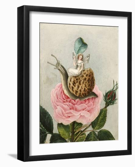 A Fairy Holding a Leaf, Sitting on a Snail Above a Rose-Amelia Jane Murray-Framed Giclee Print