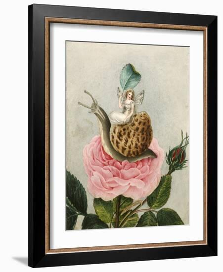 A Fairy Holding a Leaf, Sitting on a Snail Above a Rose-Amelia Jane Murray-Framed Giclee Print