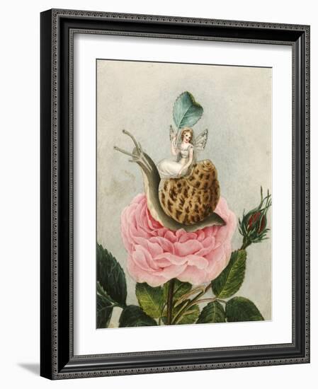 A Fairy Holding a Leaf, Sitting on a Snail Above a Rose-Amelia Jane Murray-Framed Giclee Print