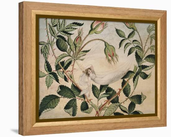 A Fairy Resting in a Hammock Spun from a Cobweb-Amelia Jane Murray-Framed Premier Image Canvas