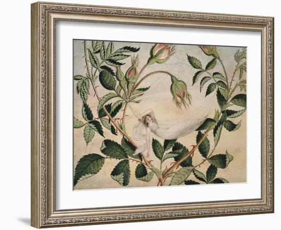 A Fairy Resting in a Hammock Spun from a Cobweb-Amelia Jane Murray-Framed Giclee Print