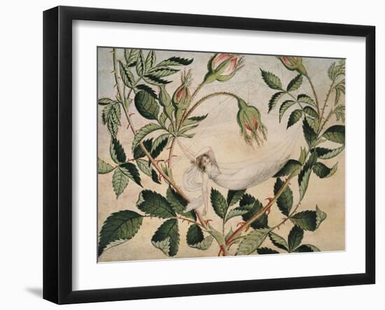 A Fairy Resting in a Hammock Spun from a Cobweb-Amelia Jane Murray-Framed Giclee Print