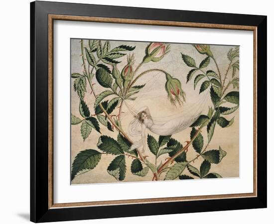 A Fairy Resting in a Hammock Spun from a Cobweb-Amelia Jane Murray-Framed Giclee Print