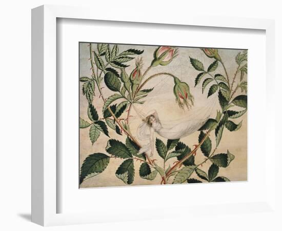 A Fairy Resting in a Hammock Spun from a Cobweb-Amelia Jane Murray-Framed Giclee Print