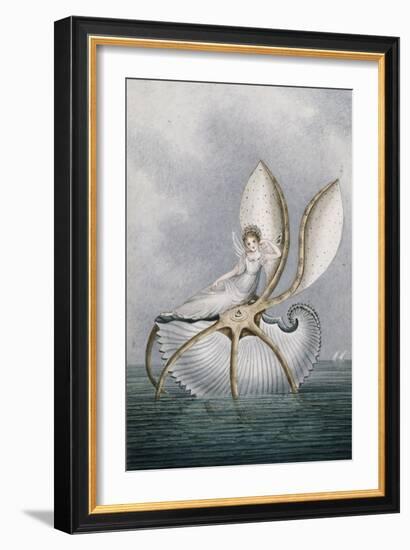 A Fairy Resting on a Shell-Amelia Jane Murray-Framed Giclee Print