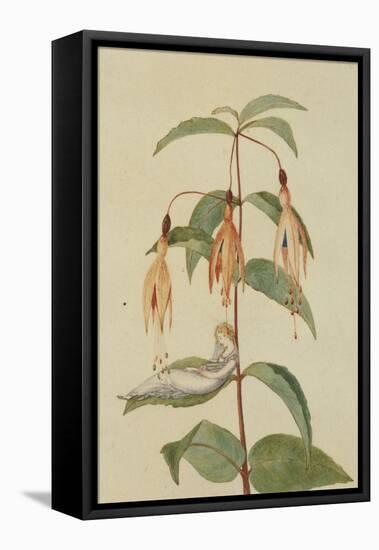 A Fairy Resting on the Leaf of a Fuchsia-Amelia Jane Murray-Framed Premier Image Canvas