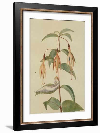 A Fairy Resting on the Leaf of a Fuchsia-Amelia Jane Murray-Framed Giclee Print