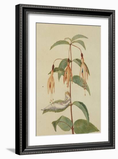 A Fairy Resting on the Leaf of a Fuchsia-Amelia Jane Murray-Framed Giclee Print