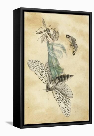 A Fairy Standing on a Moth While Being Chased by a Butterfly-Amelia Jane Murray-Framed Premier Image Canvas