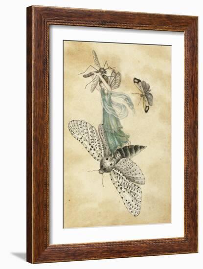 A Fairy Standing on a Moth While Being Chased by a Butterfly-Amelia Jane Murray-Framed Giclee Print