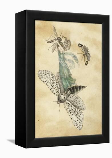 A Fairy Standing on a Moth While Being Chased by a Butterfly-Amelia Jane Murray-Framed Premier Image Canvas