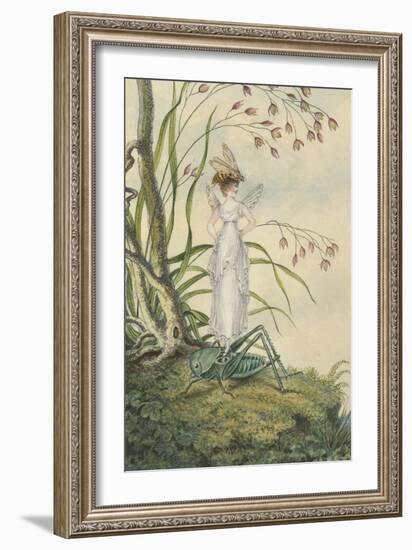 A Fairy with a Bee on Her Head Standing on a Grasshopper-Amelia Jane Murray-Framed Giclee Print