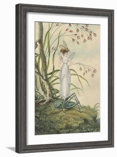 A Fairy with a Bee on Her Head Standing on a Grasshopper-Amelia Jane Murray-Framed Giclee Print