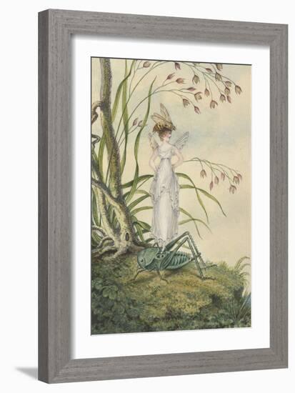 A Fairy with a Bee on Her Head Standing on a Grasshopper-Amelia Jane Murray-Framed Giclee Print