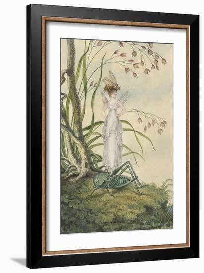 A Fairy with a Bee on Her Head Standing on a Grasshopper-Amelia Jane Murray-Framed Giclee Print