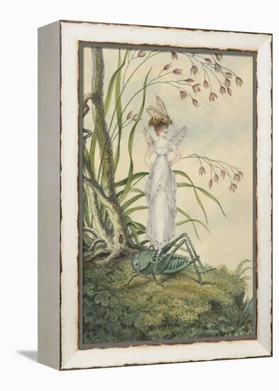 A Fairy with a Bee on Her Head Standing on a Grasshopper-Amelia Jane Murray-Framed Premier Image Canvas