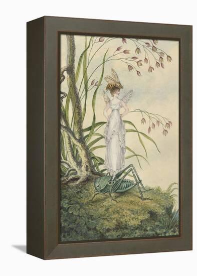 A Fairy with a Bee on Her Head Standing on a Grasshopper-Amelia Jane Murray-Framed Premier Image Canvas