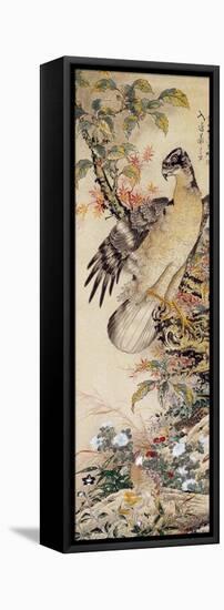 A Falcon-Jakuchu Ito-Framed Premier Image Canvas