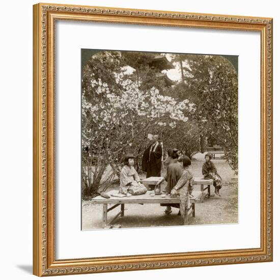 A Family Enjoying a Picnic under the Cherry Blossoms, Omuro Gosho, Kyoto, Japan, 1904-Underwood & Underwood-Framed Photographic Print