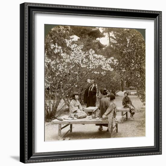 A Family Enjoying a Picnic under the Cherry Blossoms, Omuro Gosho, Kyoto, Japan, 1904-Underwood & Underwood-Framed Photographic Print