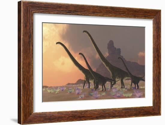 A Family of Mamenchisaurus Dinosaurs-null-Framed Art Print