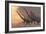 A Family of Mamenchisaurus Dinosaurs-null-Framed Art Print