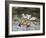 A Family Outing-John Frederick Hulk-Framed Giclee Print