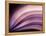 A Fan of Purple-Ursula Abresch-Framed Premier Image Canvas