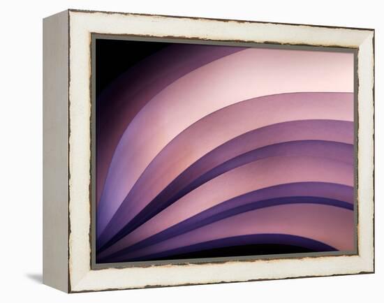 A Fan of Purple-Ursula Abresch-Framed Premier Image Canvas