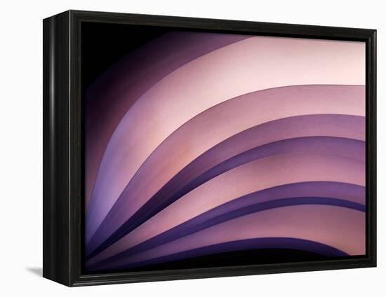 A Fan of Purple-Ursula Abresch-Framed Premier Image Canvas