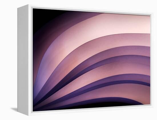 A Fan of Purple-Ursula Abresch-Framed Premier Image Canvas