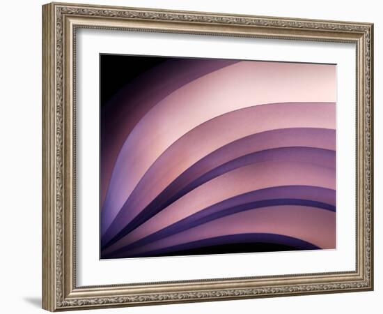 A Fan of Purple-Ursula Abresch-Framed Photographic Print