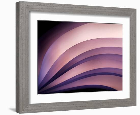 A Fan of Purple-Ursula Abresch-Framed Photographic Print