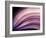 A Fan of Purple-Ursula Abresch-Framed Photographic Print