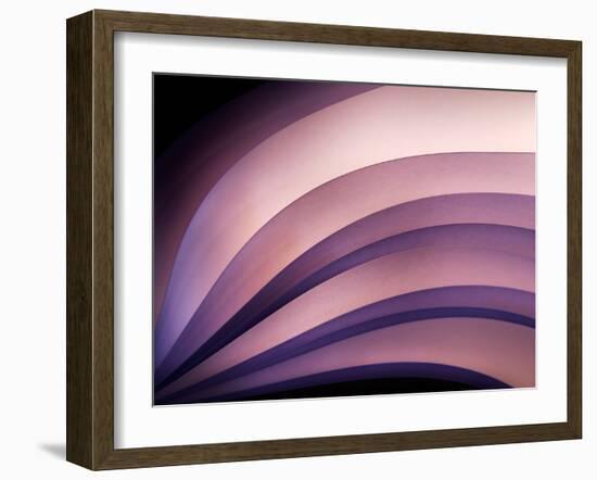 A Fan of Purple-Ursula Abresch-Framed Photographic Print