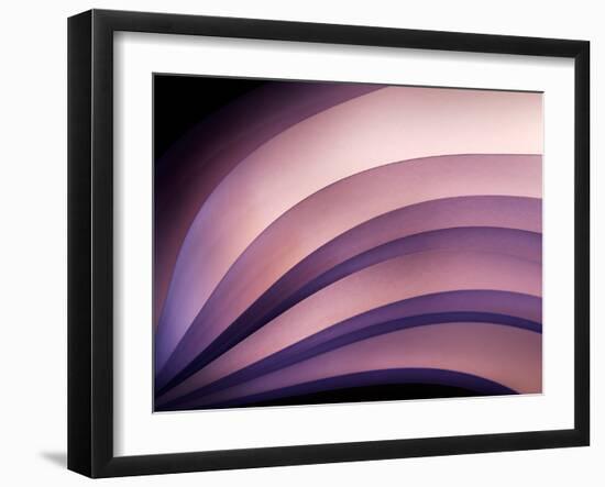 A Fan of Purple-Ursula Abresch-Framed Photographic Print