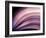 A Fan of Purple-Ursula Abresch-Framed Photographic Print