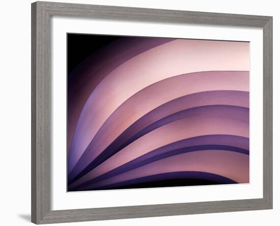 A Fan of Purple-Ursula Abresch-Framed Photographic Print