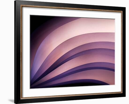 A Fan of Purple-Ursula Abresch-Framed Photographic Print