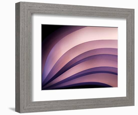 A Fan of Purple-Ursula Abresch-Framed Photographic Print