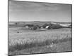 Photographic Print