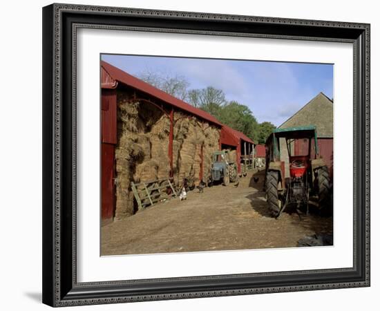 A Farm, Near Avoca, County Wicklow, Leinster, Eire (Republic of Ireland)-Michael Short-Framed Photographic Print