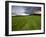 A farm road in Sabins Pasture in Montpelier, Vermont, USA-Jerry & Marcy Monkman-Framed Photographic Print