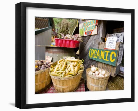 A farm stand in Holderness, New Hampshire, USA-Jerry & Marcy Monkman-Framed Photographic Print