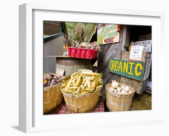 A farm stand in Holderness, New Hampshire, USA-Jerry & Marcy Monkman-Framed Photographic Print