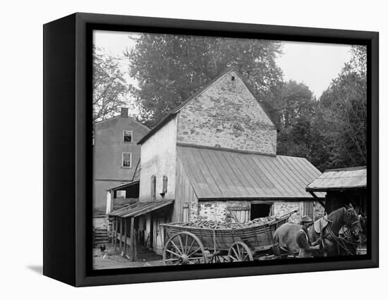 A Farm Yard, Germantown, Pa.-null-Framed Stretched Canvas